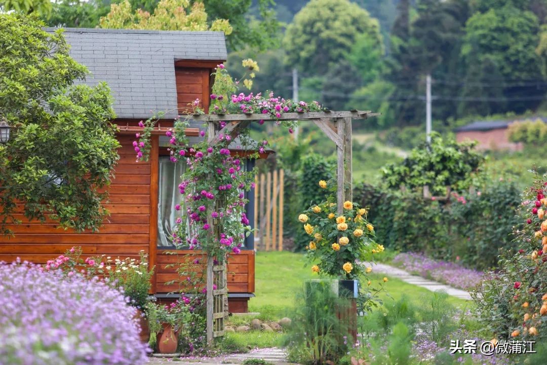 朝阳湖云端绿道,朝阳湖绿道