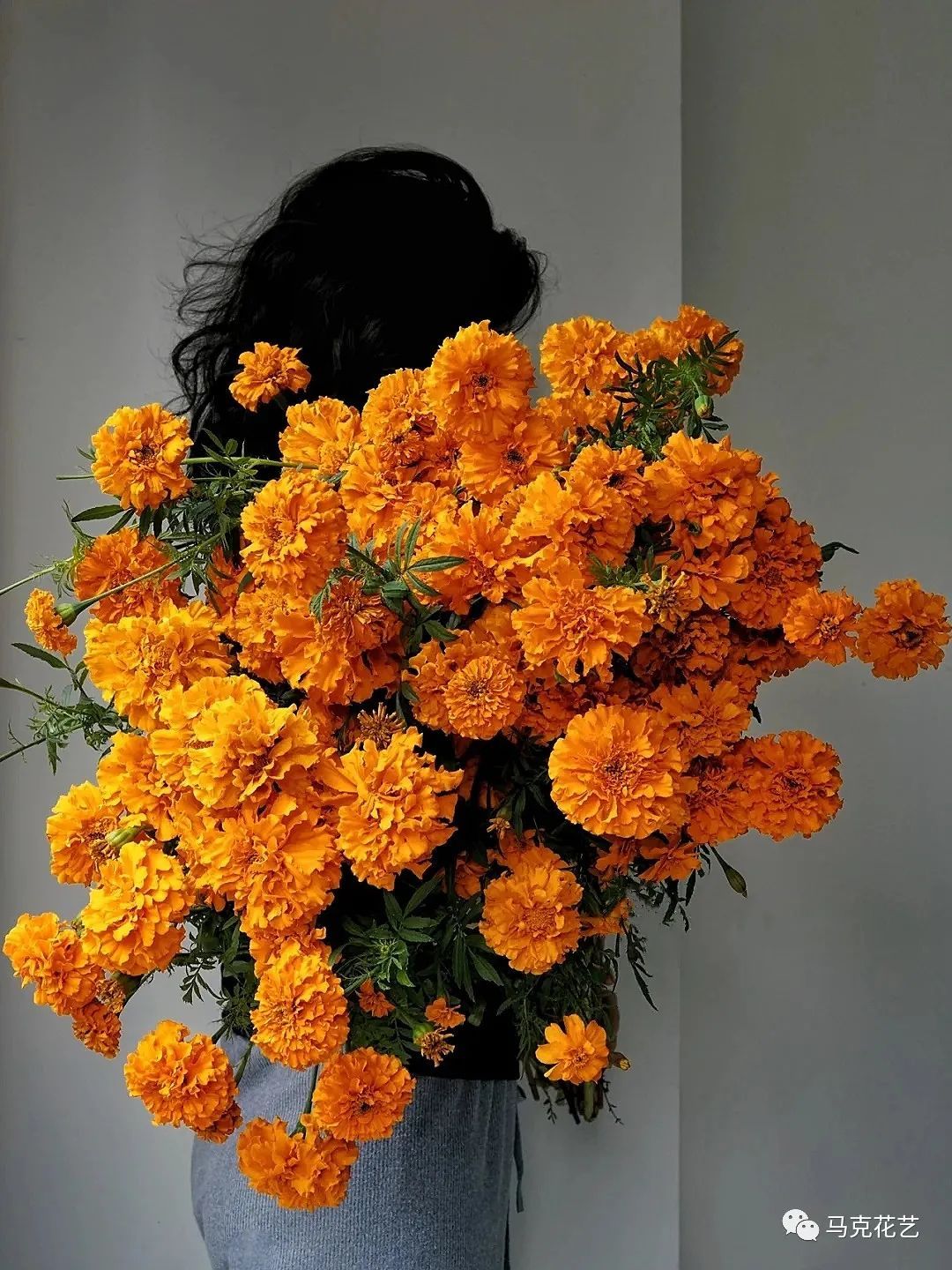 马克花艺｜送对花表对意，别让好心办坏事