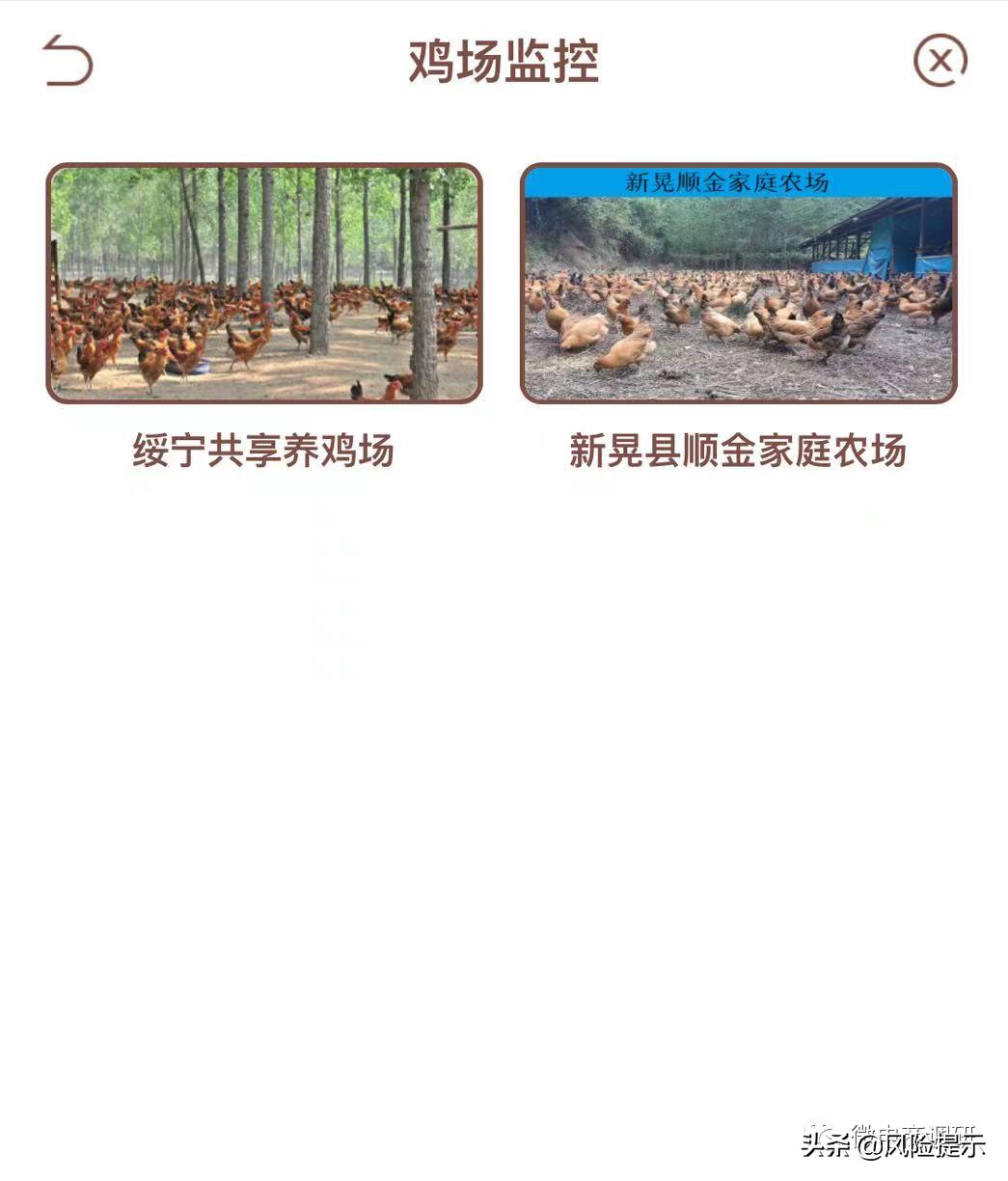 惠商在线商业模式,惠商在线养鸡好吗