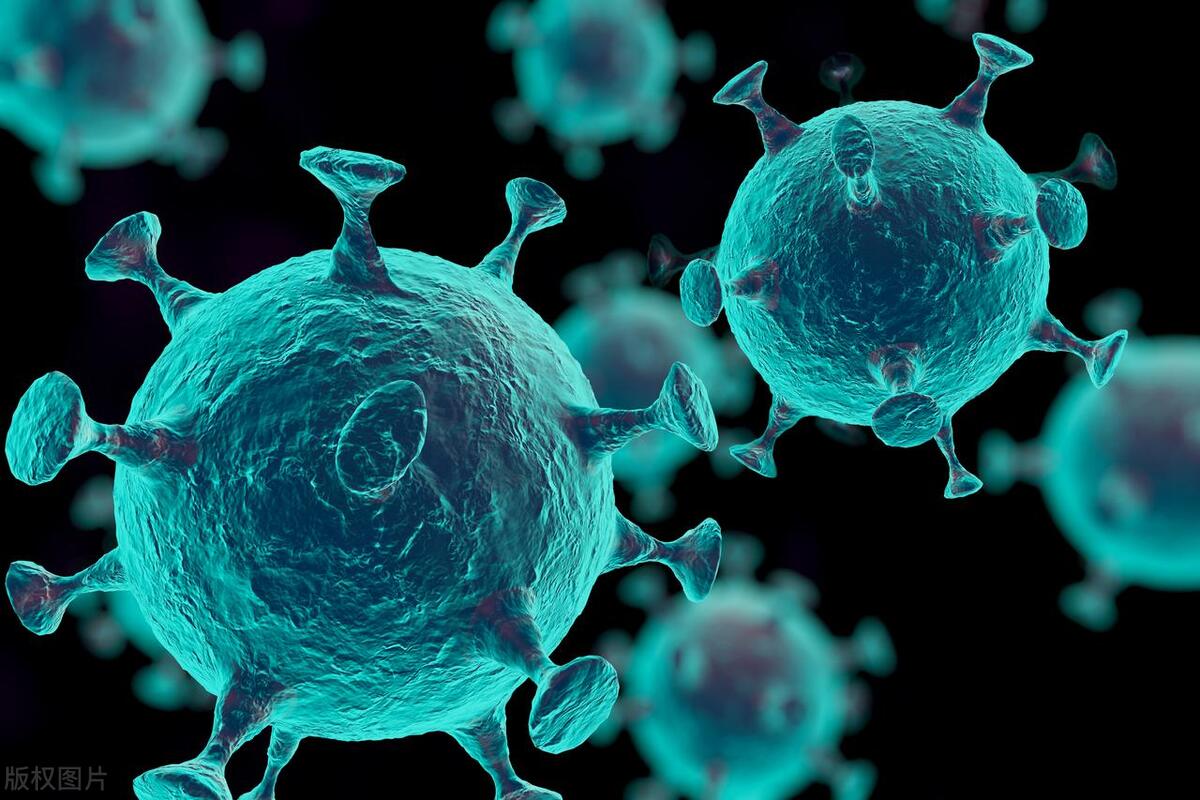 长期不感冒的人，除了免疫力差，还容易得癌？肿瘤医生揭晓真相