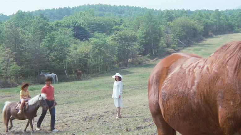 一部另类的岛国电影，大胆说透中年女人婚后的欲望，全程不忍直视