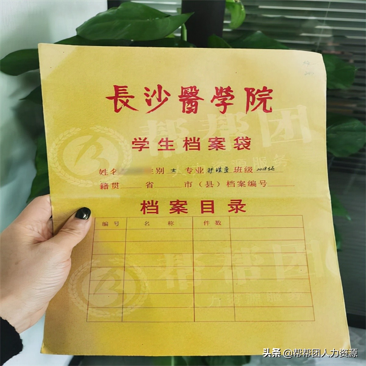 毕业生档案被拆,毕业生档案撕了