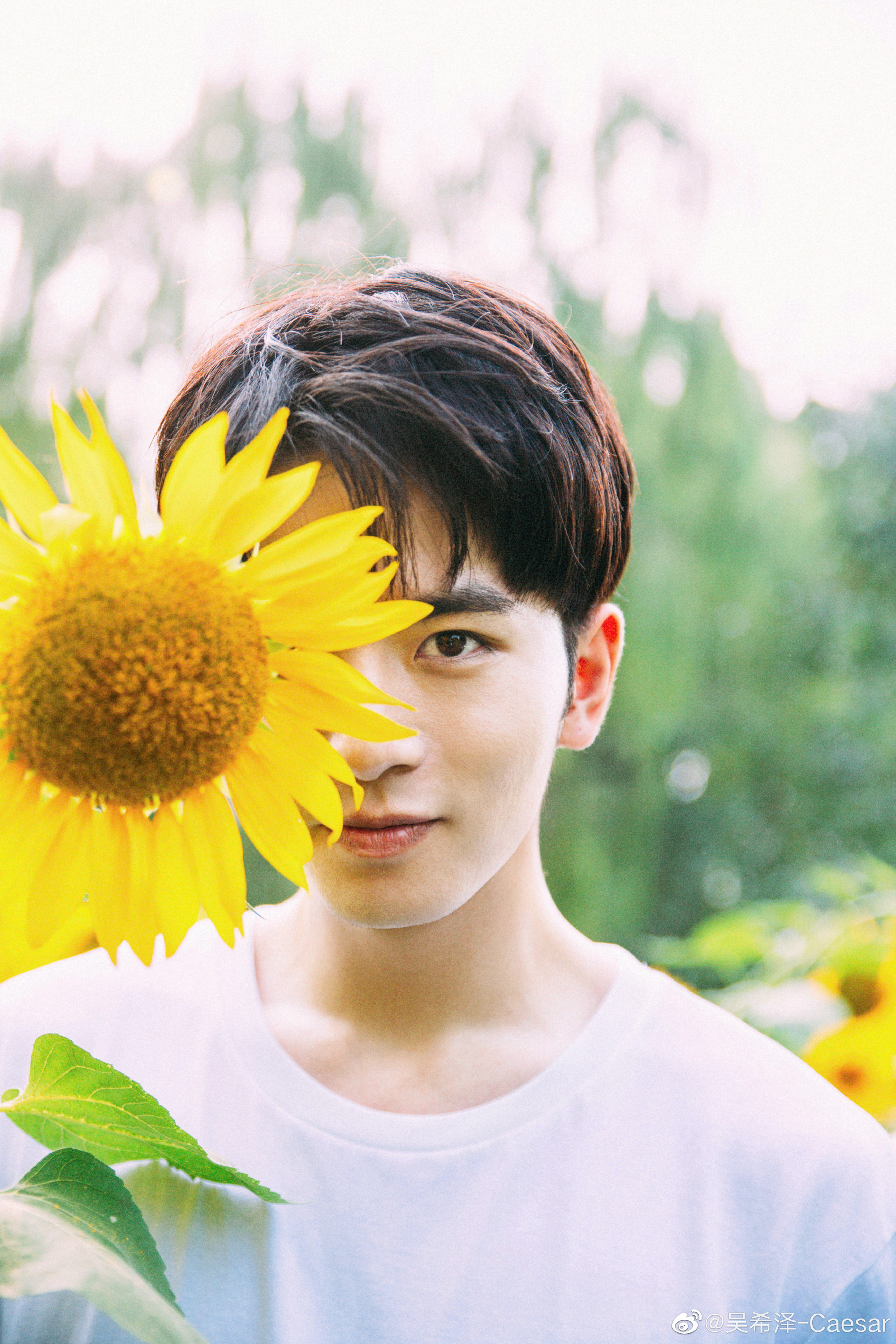 张慧雯与龚俊合照,张慧雯吴希泽花西子