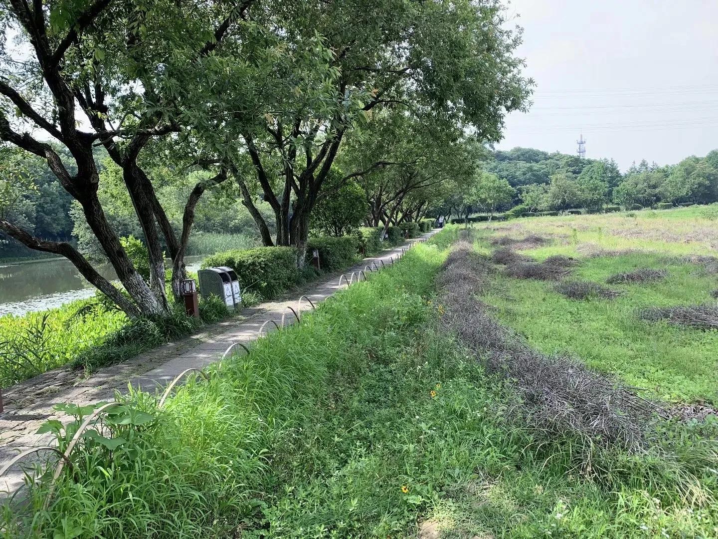 杭州八卦田遗址规划,杭州八卦田遗址公园有什么可以玩