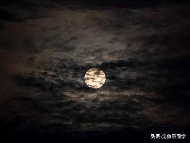 今天农历四月十五，你知道是什么日子吗？老祖宗的谚语怎么说的