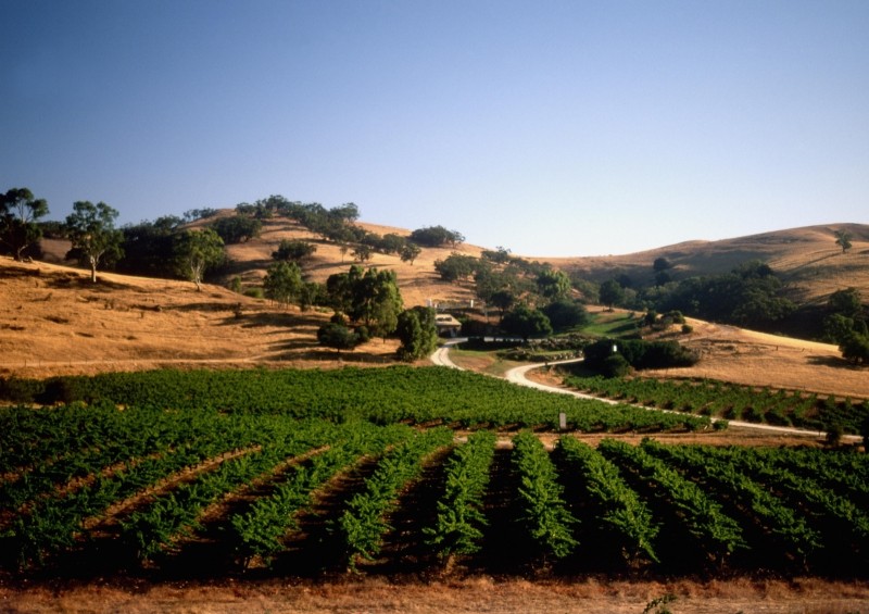 汉能集团李河君事件,汉能李河君的最新情况