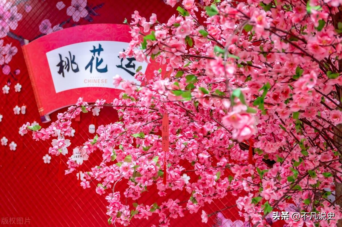 生肖虎2024年流年运势国学,男生肖虎2023年运势