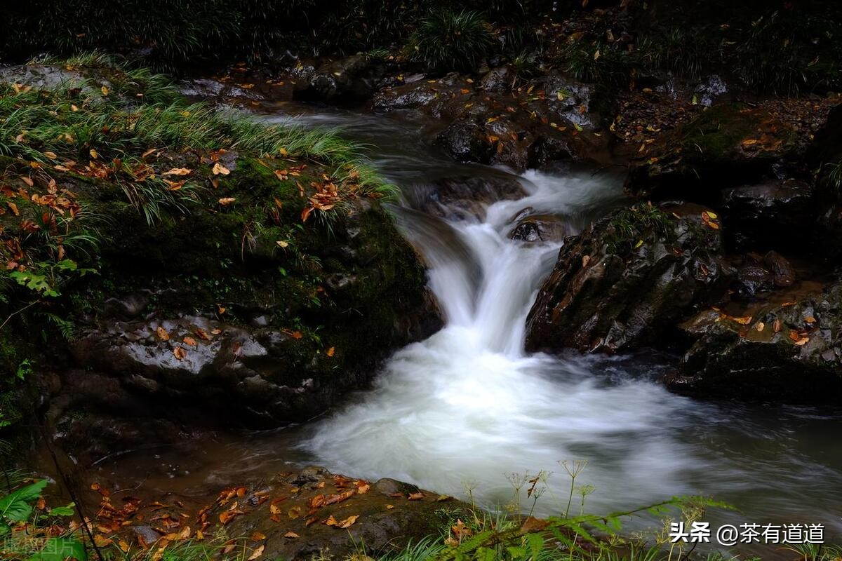 荥经茶马古道徒步线路,雅安荥经茶马古道穿越