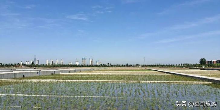 幻塔人工岛风景点位置在哪里,幻塔人工岛怎么去