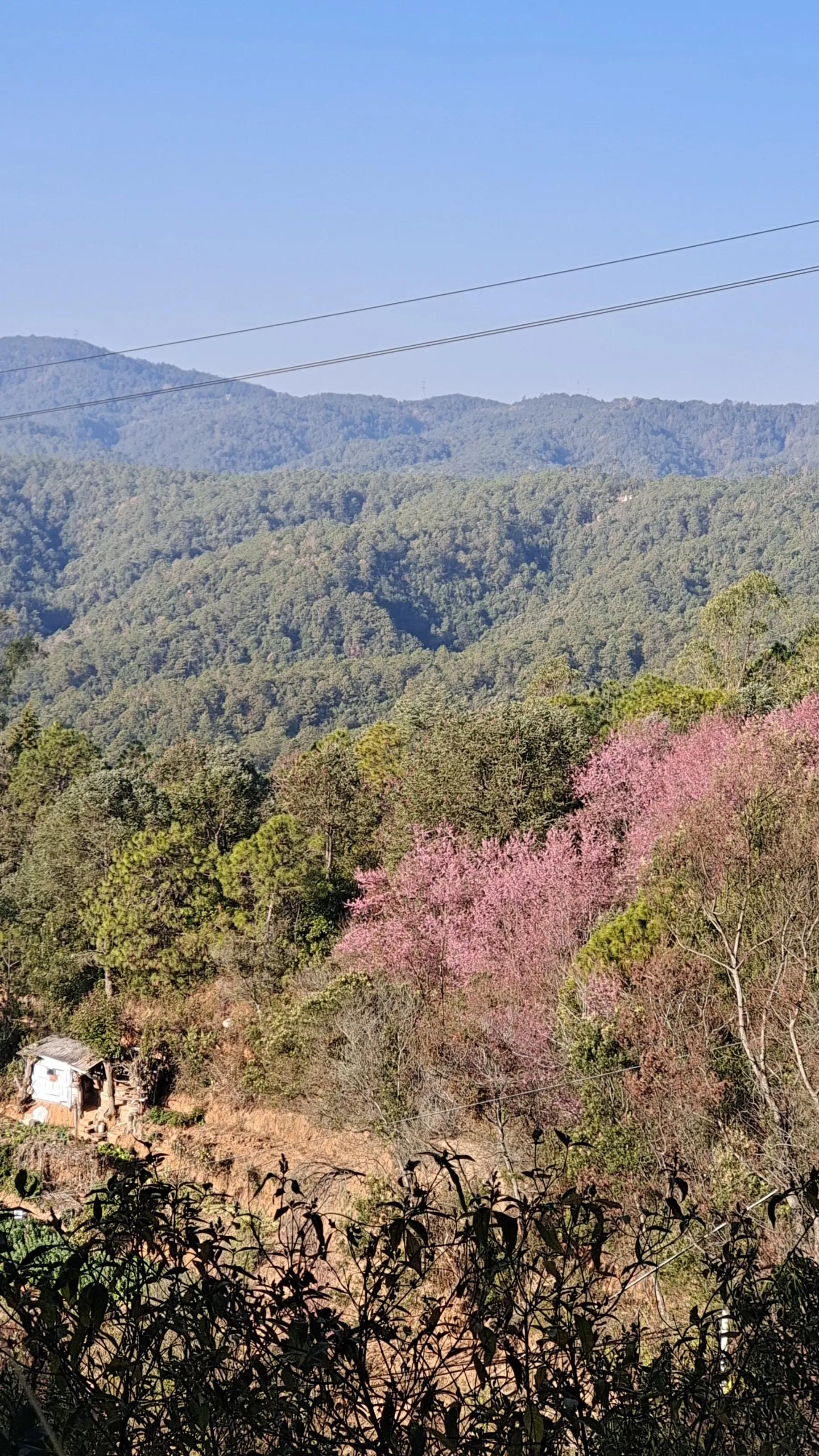 云南小镇的养老房，哪些可以买，哪些是坑不能买