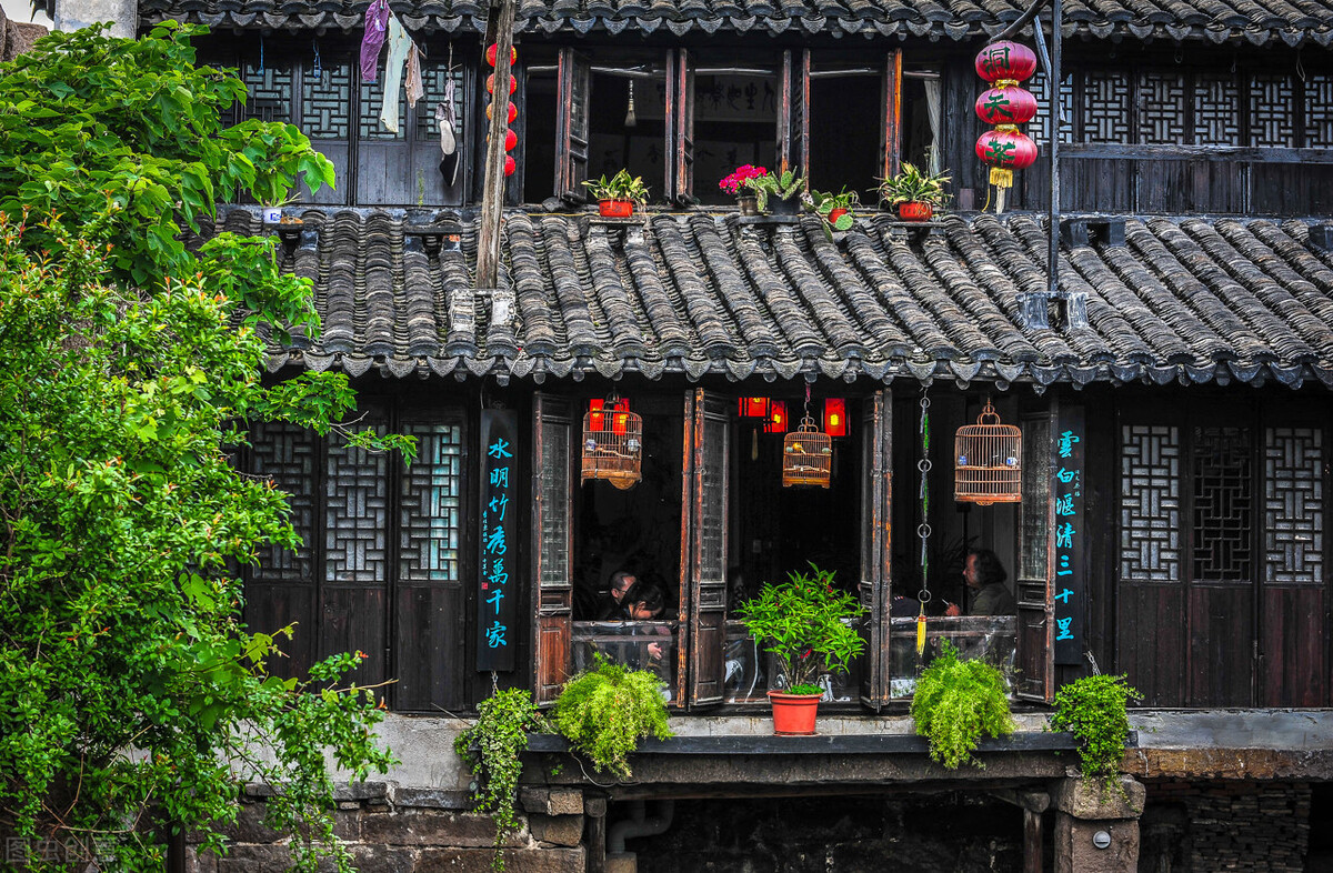 郭进拴作品大全,郭进拴全部视频