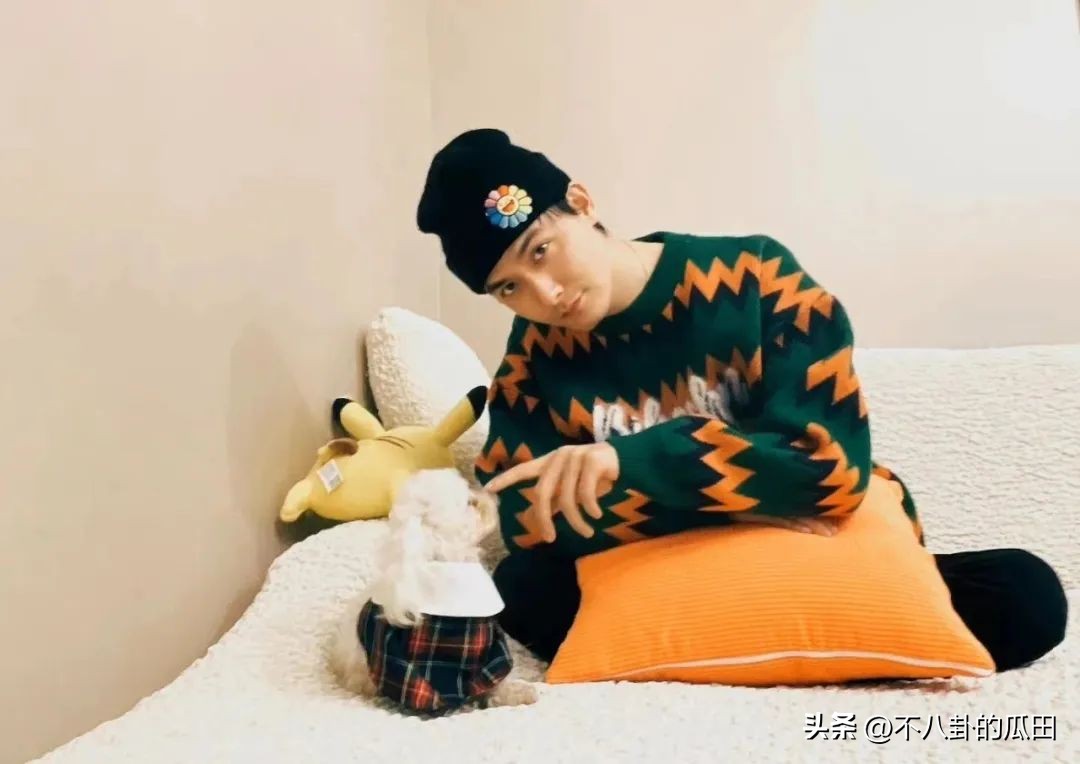 知名男星被爆家暴,哪些男星被家暴