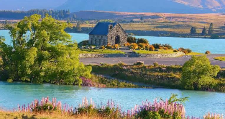 新西兰民众对中国的印象,新西兰的印象