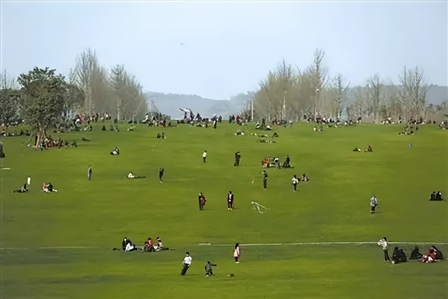 治疗近视的4大误区有什么,高度近视眼从800度降到100度的方法