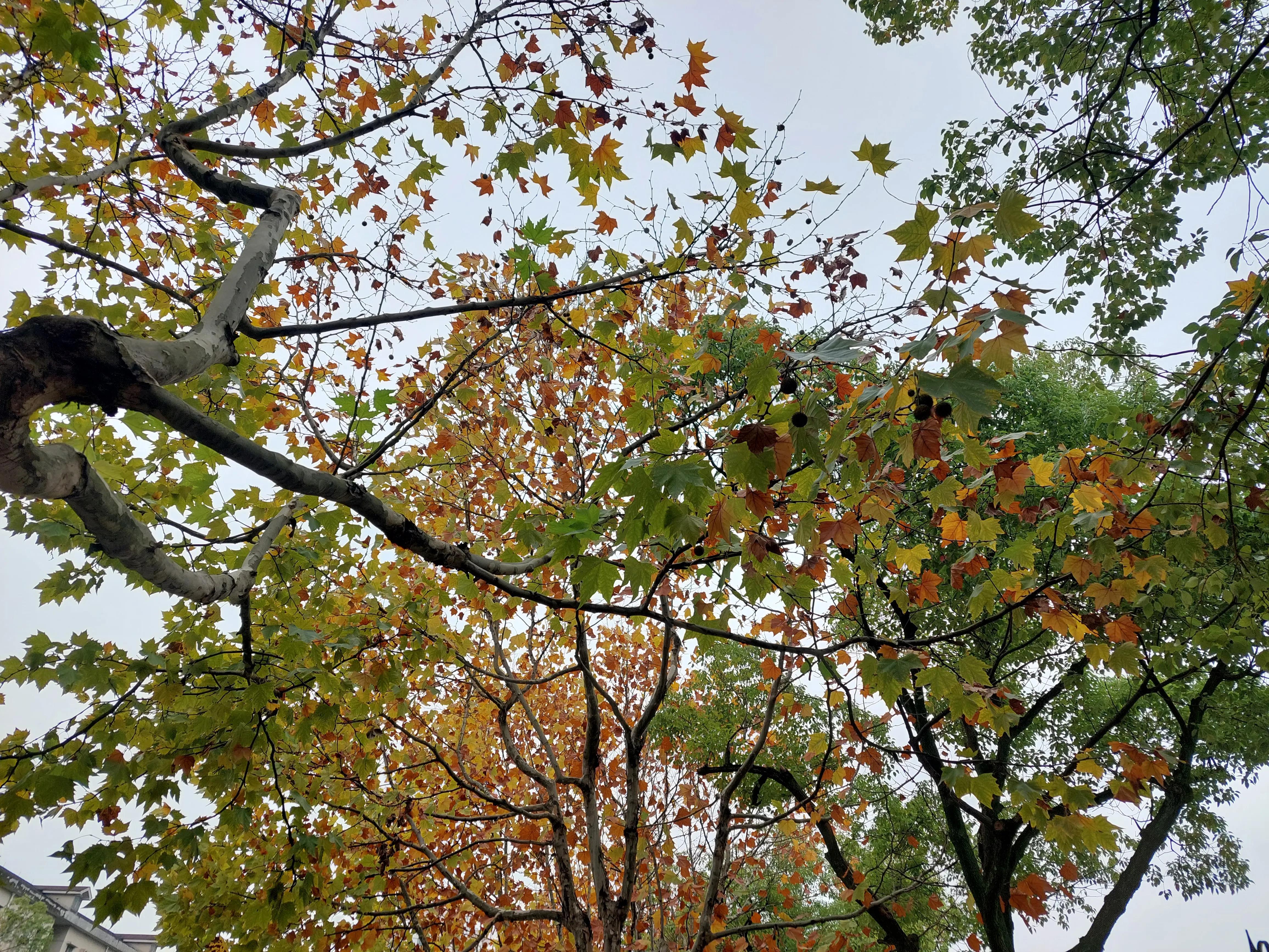 点球大战门将和主罚球员谁压力大,点球大赛门将互点