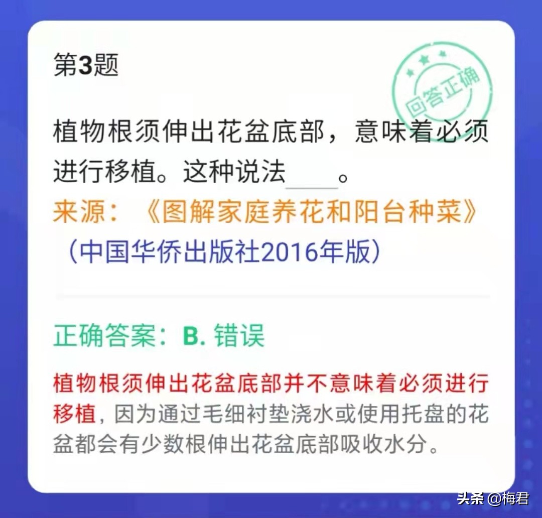 学习强国四人赛拼音题,学习强国今日新增题
