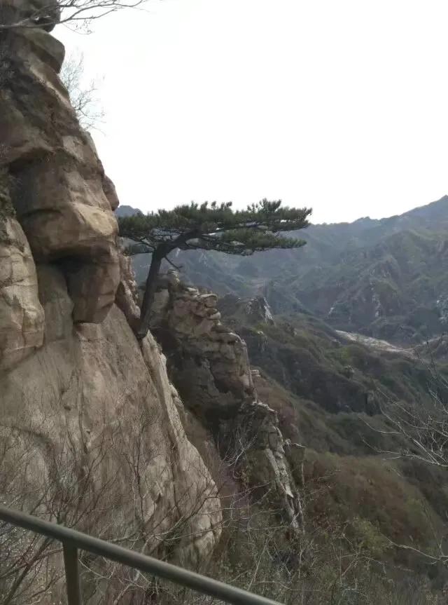 桃源仙谷踏青,最美的桃源仙谷