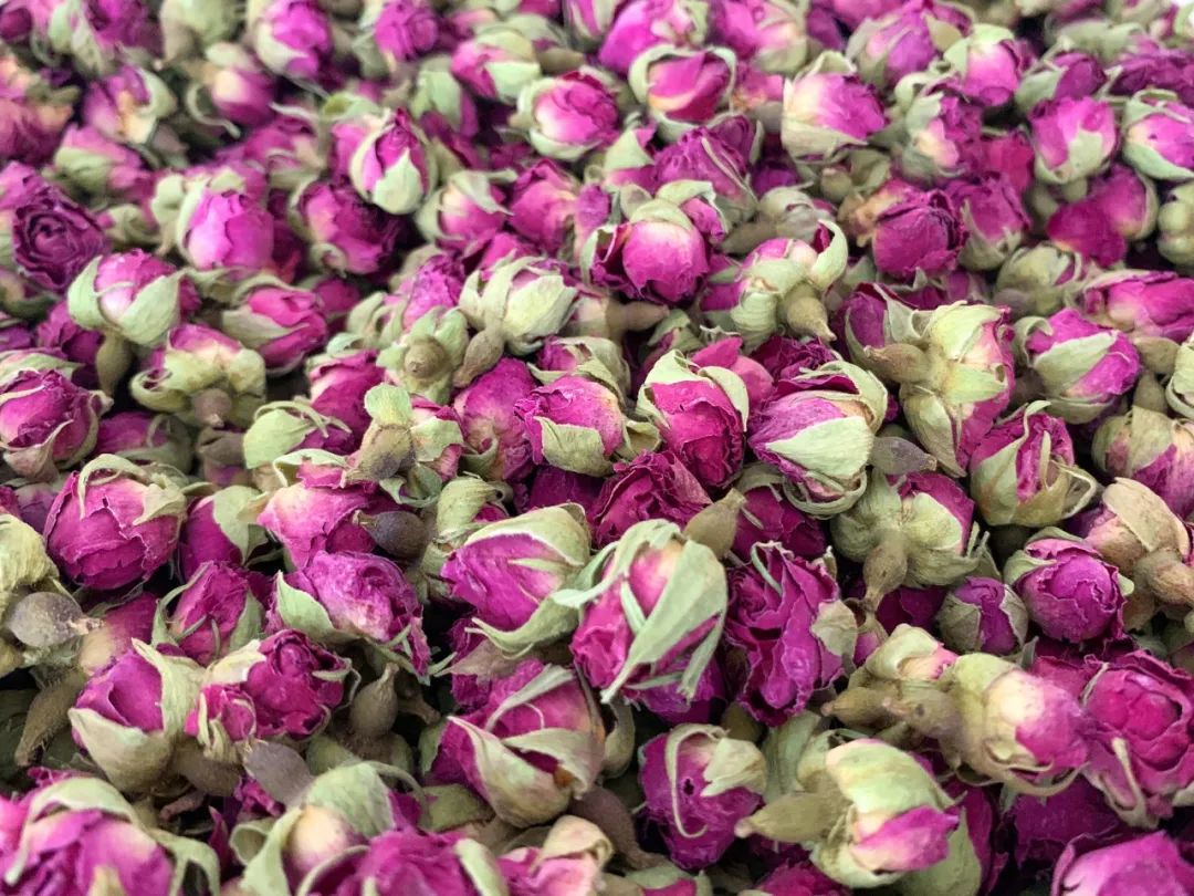 玫瑰和月季的所有种类,比较经典的玫瑰花型月季