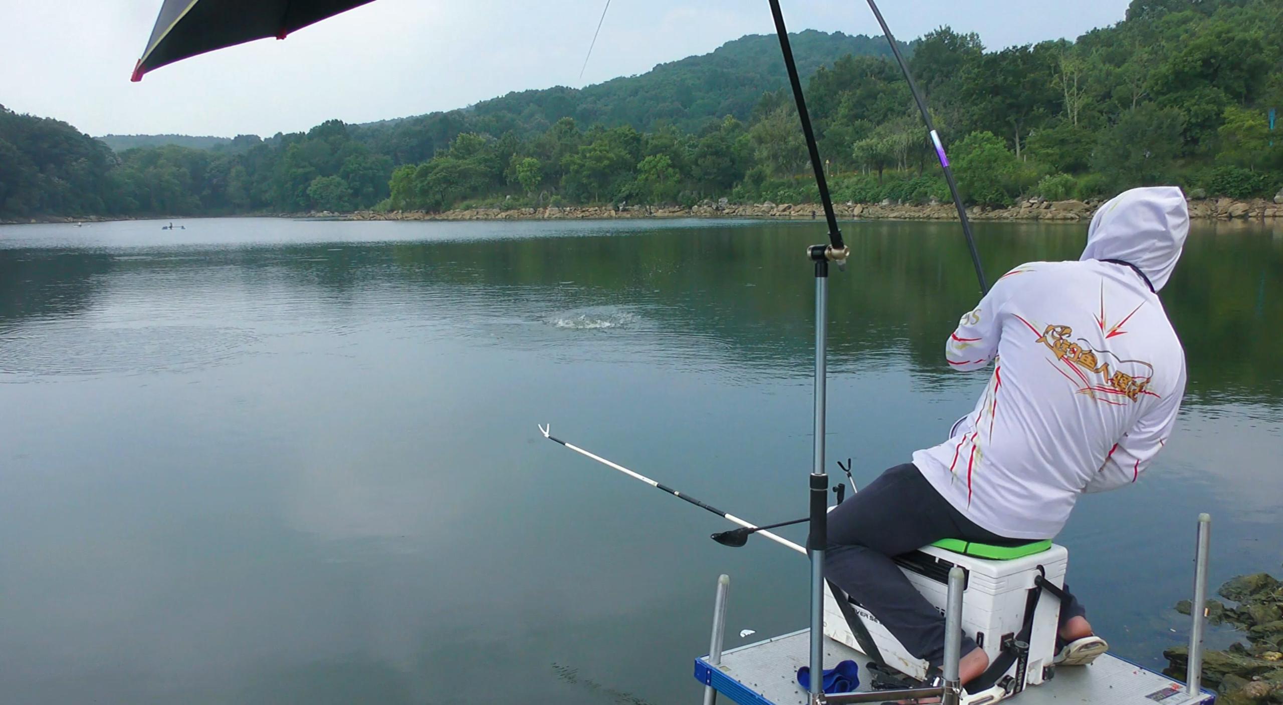 水里有翘嘴就是钓不到,水里鱼很多为什么钓不到鲫鱼