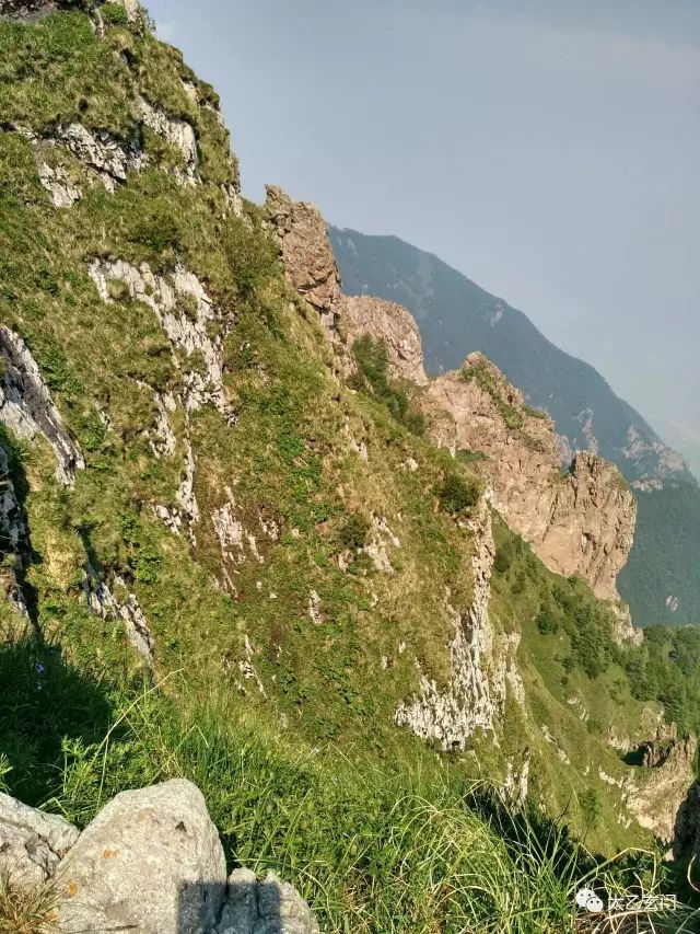 小五台山金莲花坡,小五台金莲花