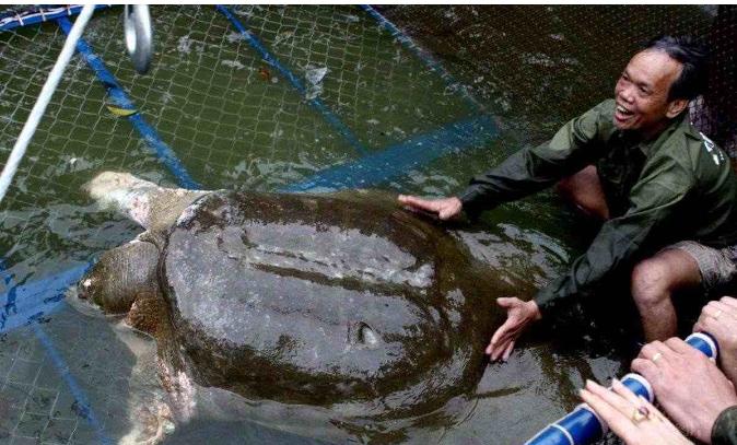 美国不明物种入侵了吗,美国物种入侵中国