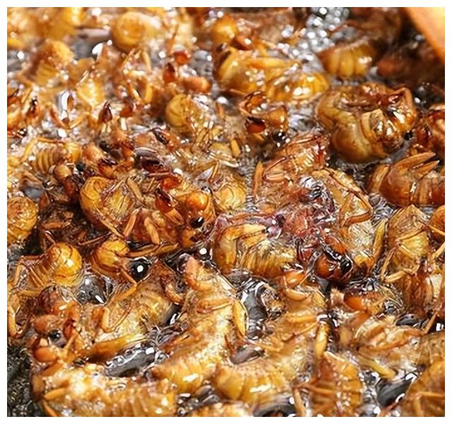 山东吃的特色美食清真,山东地方菜最有名的30道菜