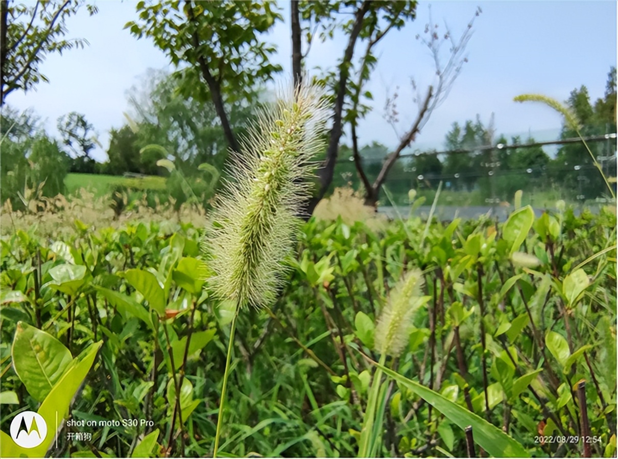 motos30pro缁埅鎷嶇収璇勬祴,motos30pro鎷嶇収娴嬭瘎