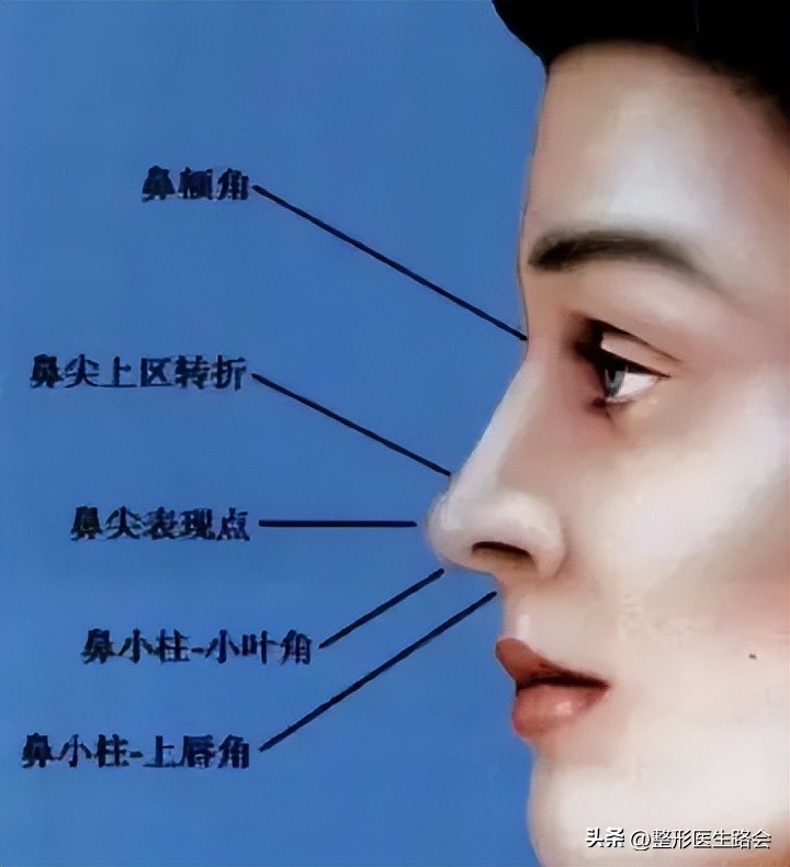 鼻部美学四个关键角度,鼻部美学标准图解