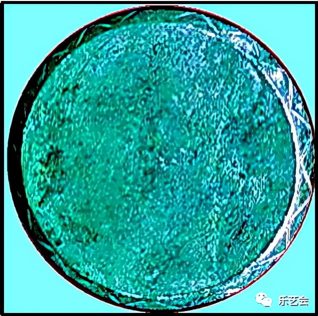 孙汝初《论鲜为人知的中国古代科技发明事实—从奥运取圣火说起》