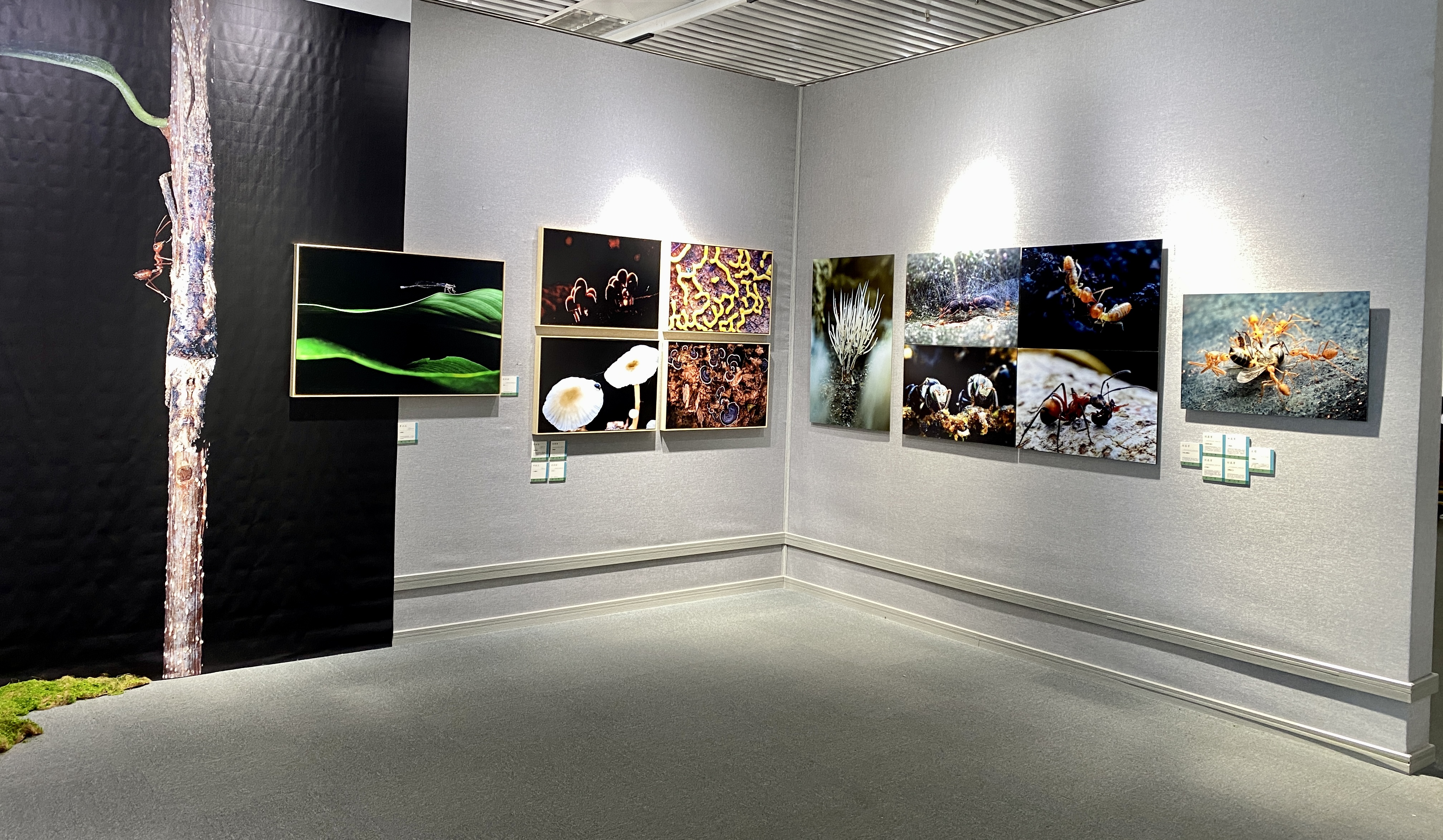 云南省摄影艺术展在哪里,云南展览展品