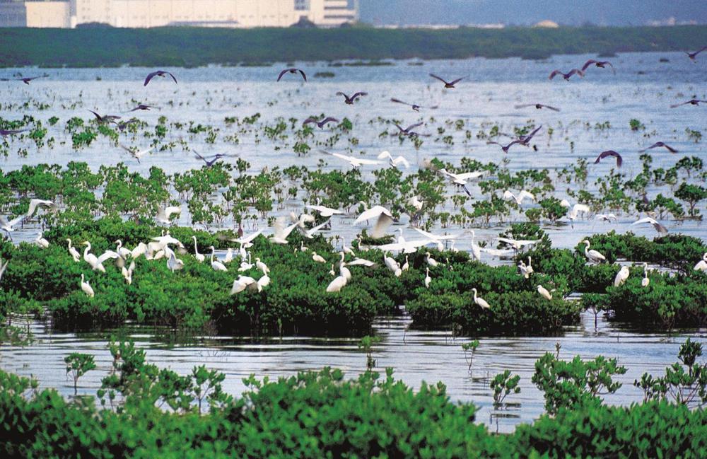 深圳福田区发展历程,2020深圳十件大事