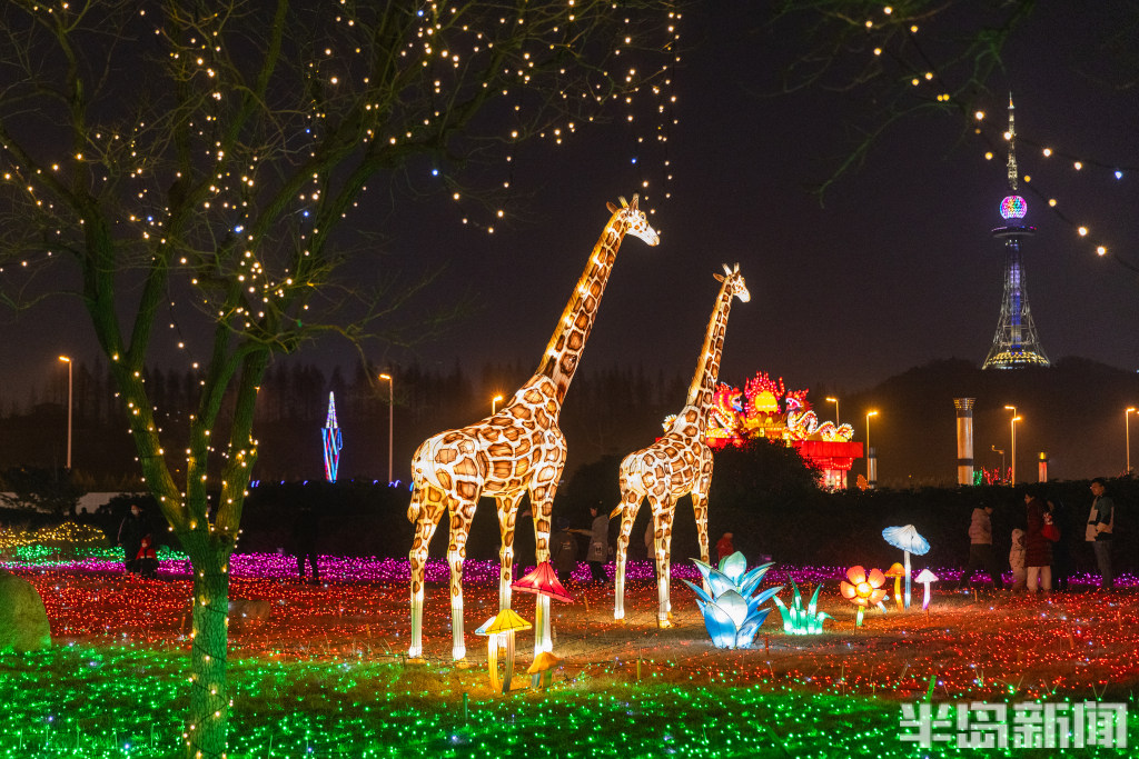 数万人排队争抢,超过200万人抢票