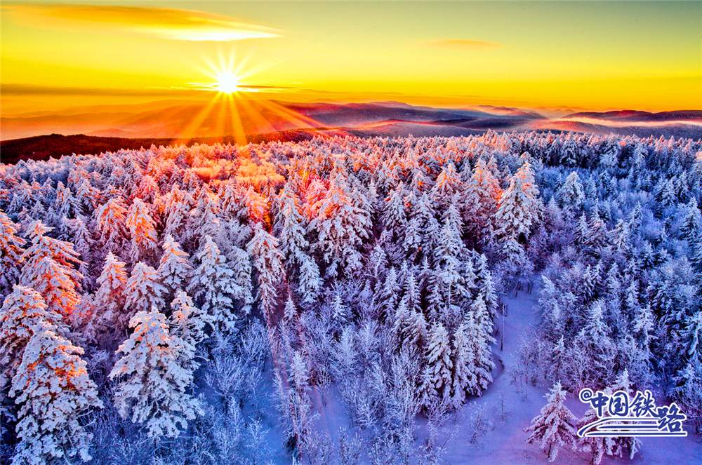 哈尔滨火车票哪里最便宜,哈尔滨的火车票截图