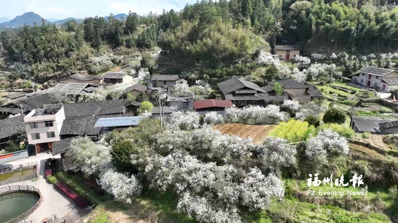 福州清明踏青好去处,福州周边踏青好去处