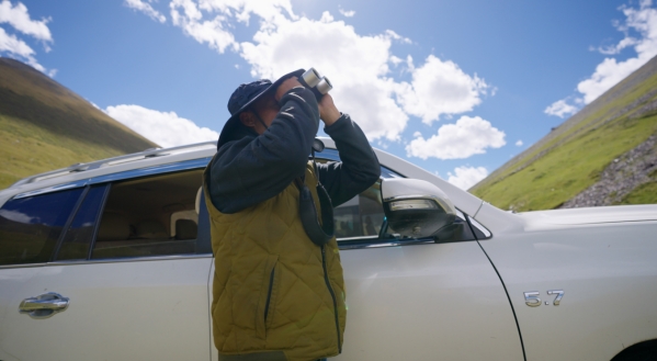 世界雪豹保护日,世界雪豹分布的国家数量