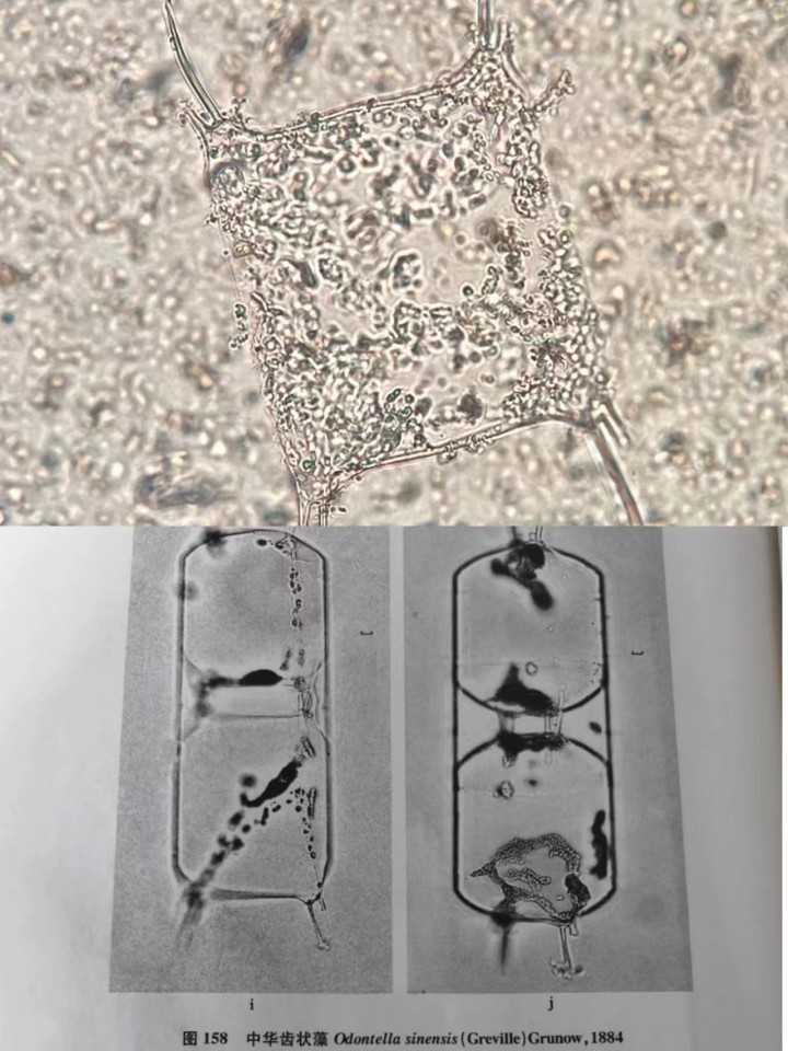 杭州水质与个人水质对比,为什么杭州水质很差