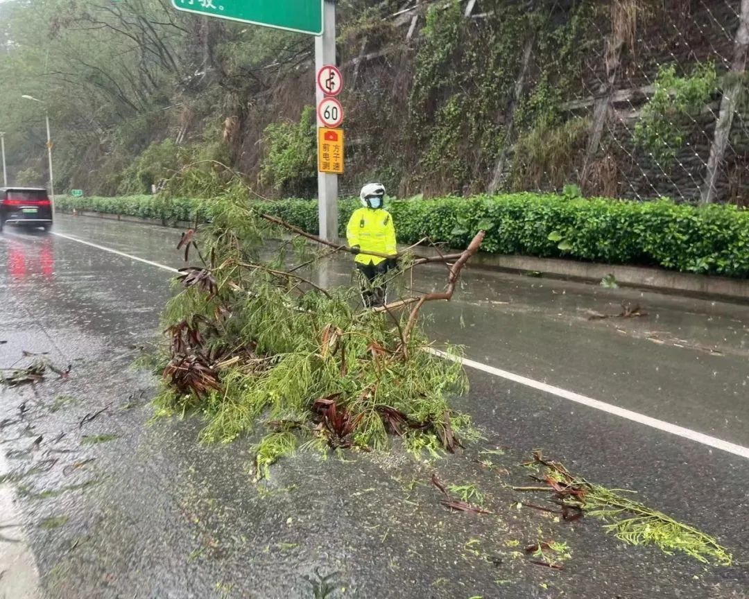 深圳市防御强降雨工作指引,深圳迎暴雨天气