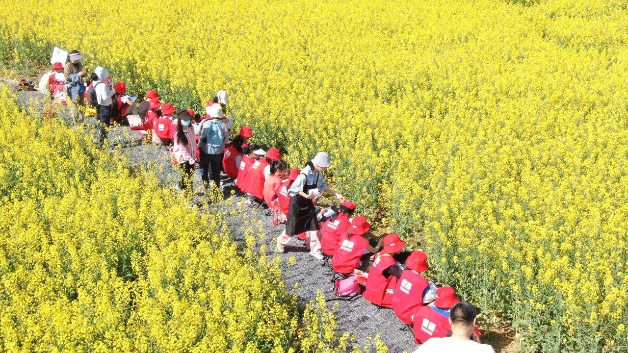 坐上开往春天的小火车,踏上开往春天的火车