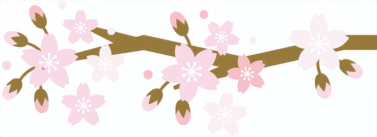 潍坊哪里的樱花最好,潍坊樱花大道在哪里