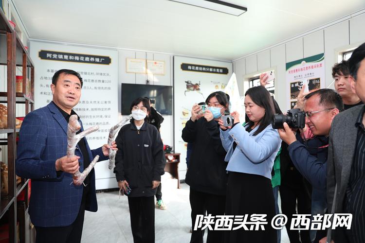 瀵绘牴浼犵粺鏂囧寲浼犳壙姘戞棌绮剧,瀵绘牴鍘嗗彶鏂囧寲寮樻壃姘戞棌绮剧瑗垮畨