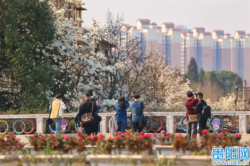 多彩贵州花漾中国走进黔西南,多彩贵州花漾中国兴义
