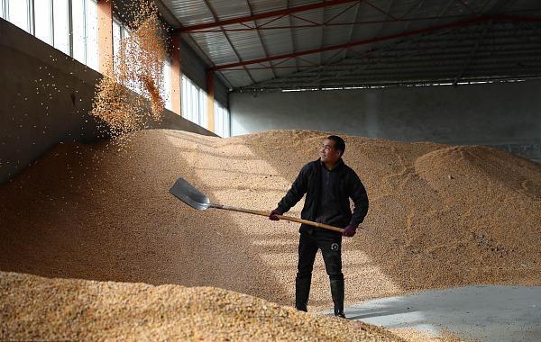 山东首位度占比,山东省排名第一产业