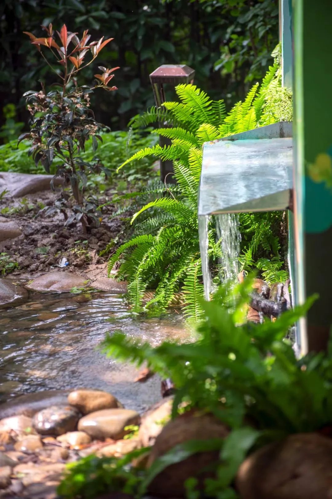 上海莫奈花园风景,莫奈花园清新甜美仙气浪漫