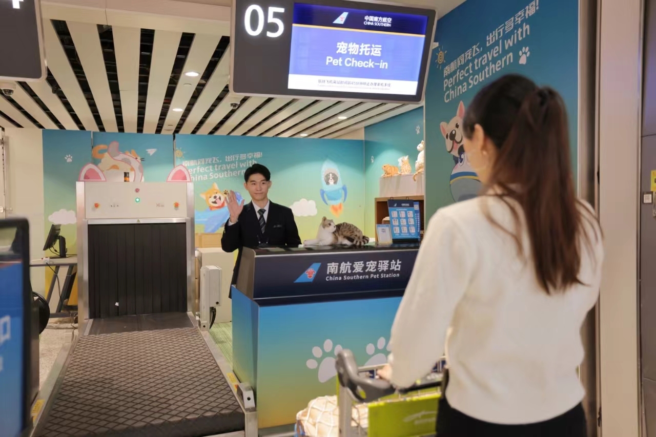 南航单独托运宠物怎么领取,南航宠物