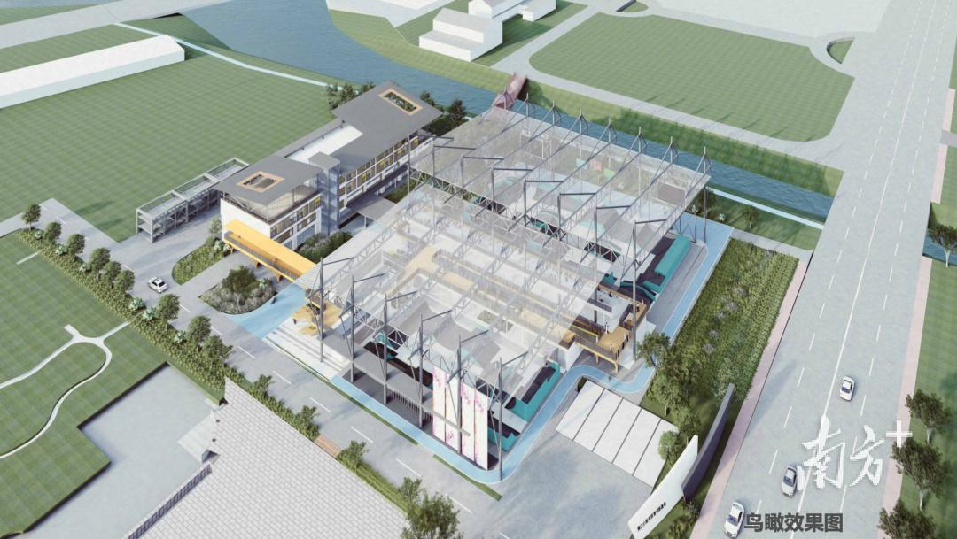 黄江冠军,周慧敏世界冠军