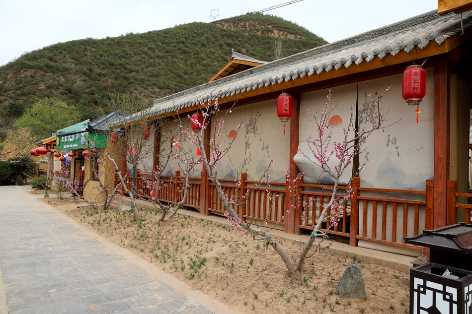 温泉镇探索旅游农业助力乡村振兴,白沙镇文旅融合