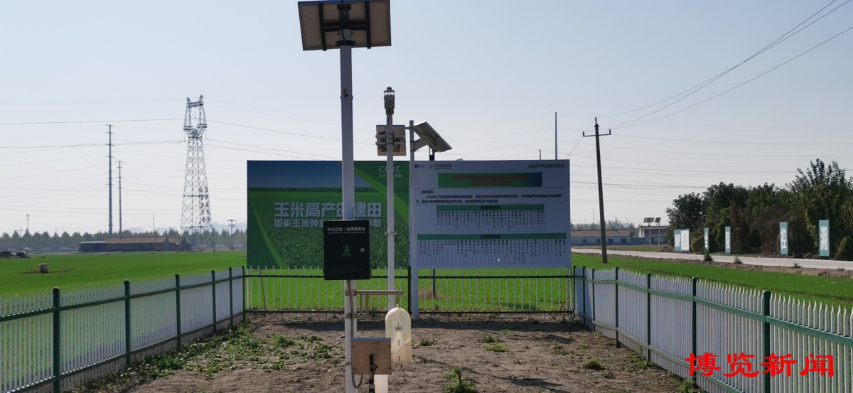 走进千强镇|唐山镇演绎“膜法传奇”