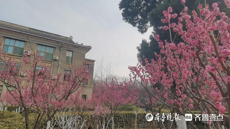 济南哪个大学值得参观旅游,济南已开放的大学校园