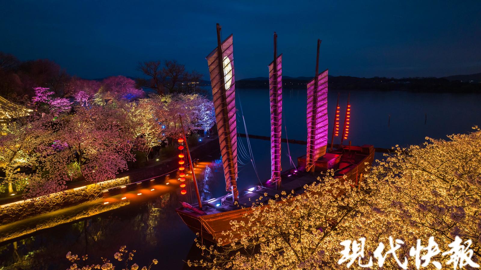 无锡太湖鼋头渚夜樱盛宴即将闭幕,2022年无锡鼋头渚樱花盛开时间