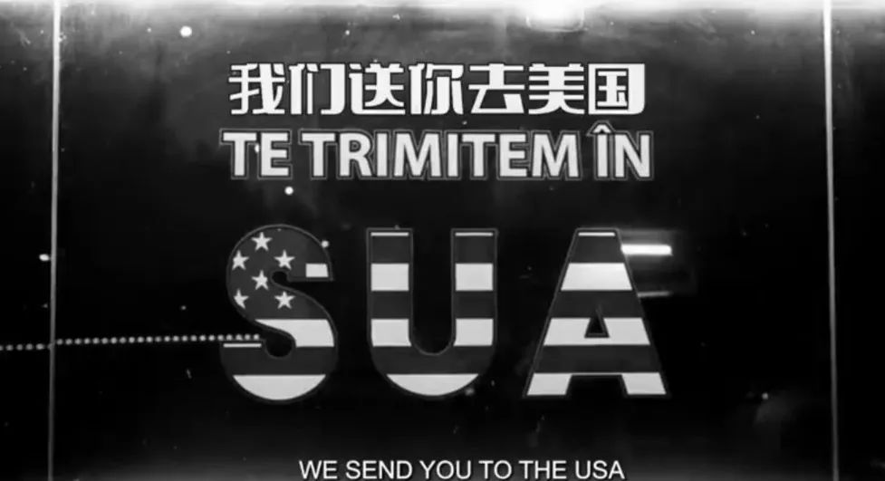 《倒霉*爱性**》导演新片，还是这么敢拍！